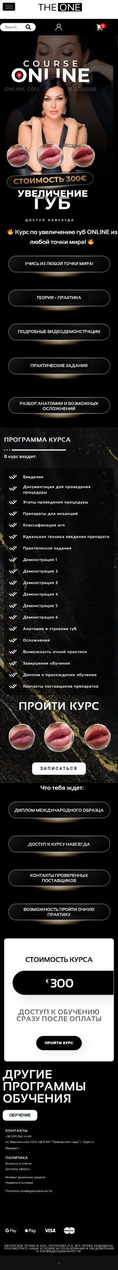 THE ONE 17 | Loginov IT
